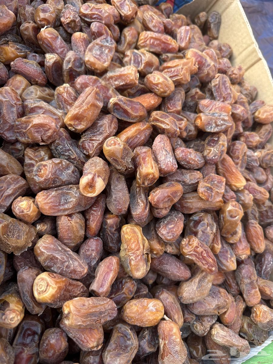 للبيع تمر صفري ناشف درجة 2 حوطة بني تميم64578896591105112