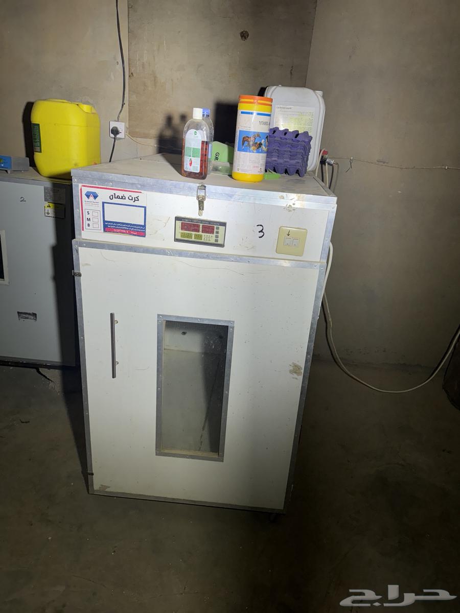 Two electronic incubators and one regular incubator64583179167233112