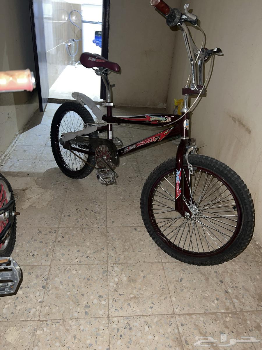 سيكل كوبرا لون عنابي مقاس20جديد استعمال قليل جدا64585967763971112