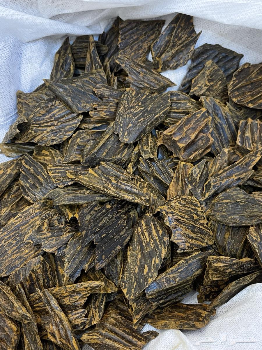 للبيع عود اصلي الازرق كلمنتان64581388582401110