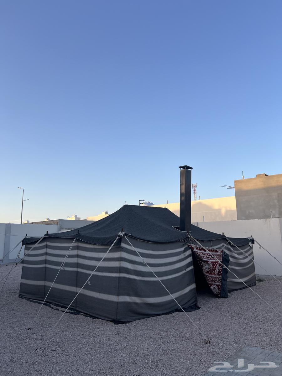 بيت شعر نظيف للبيع64581856165251110