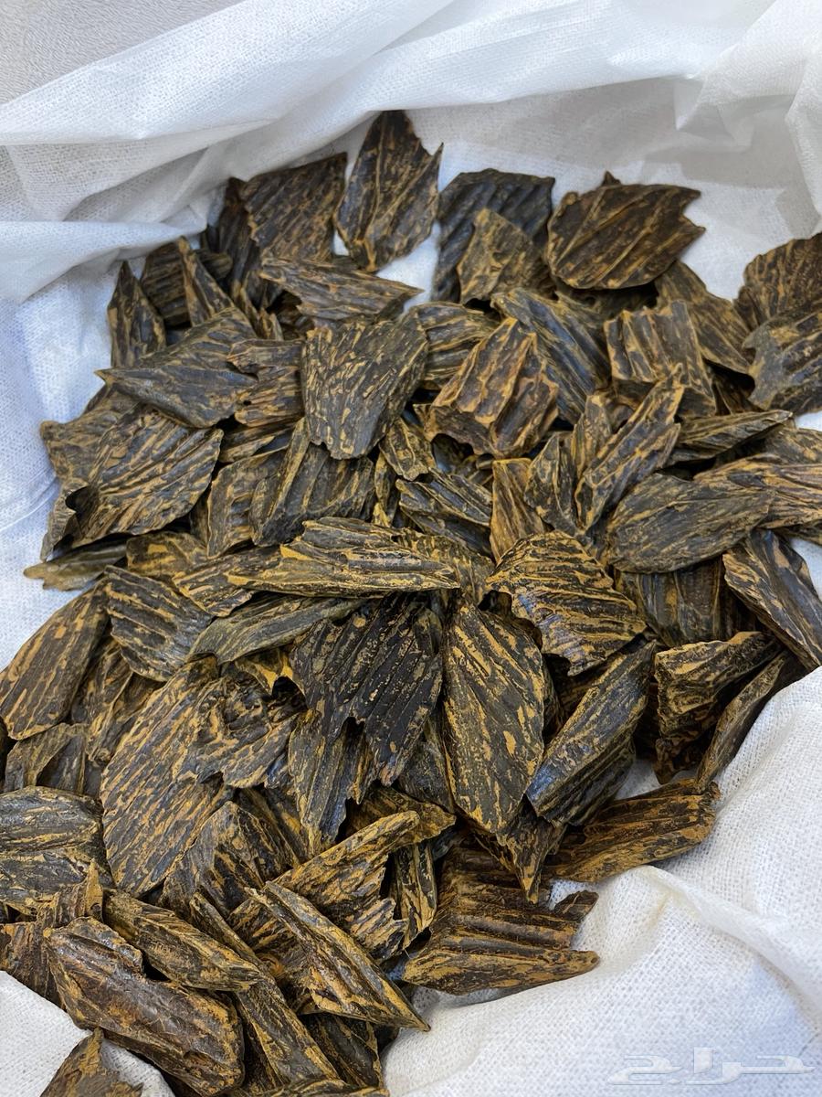 للبيع عود اصلي الازرق كلمنتان64581388582401111