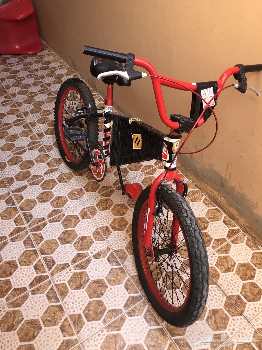 كوبرا رياضي سريع نظيف64579787366019112