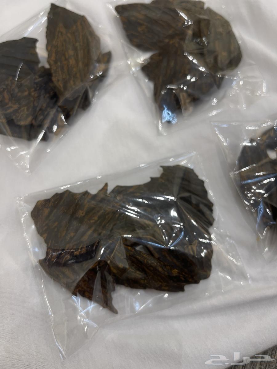 للبيع عود اصلي الازرق كلمنتان64581388582401112