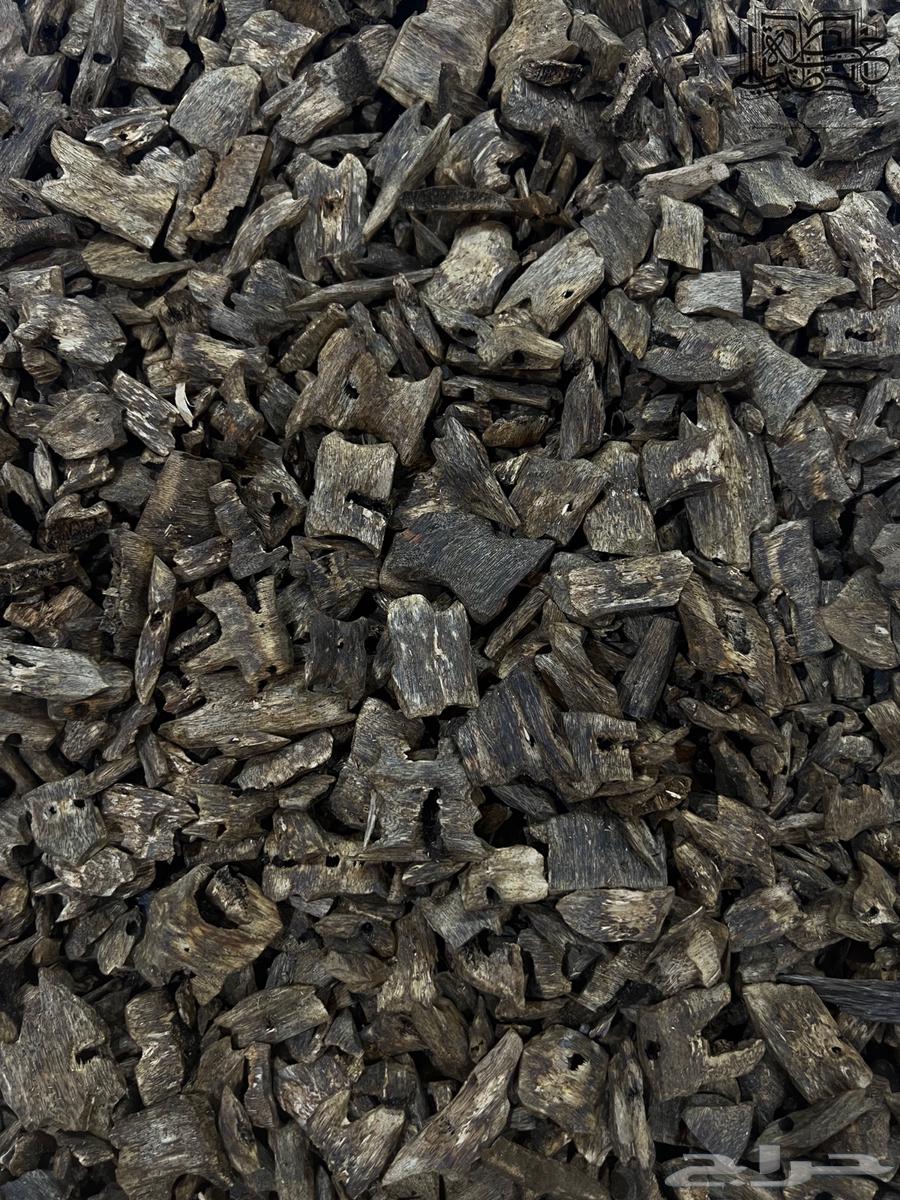 عود صيني كينام سوبر مرتفع طبيعي جمله64584687646209110