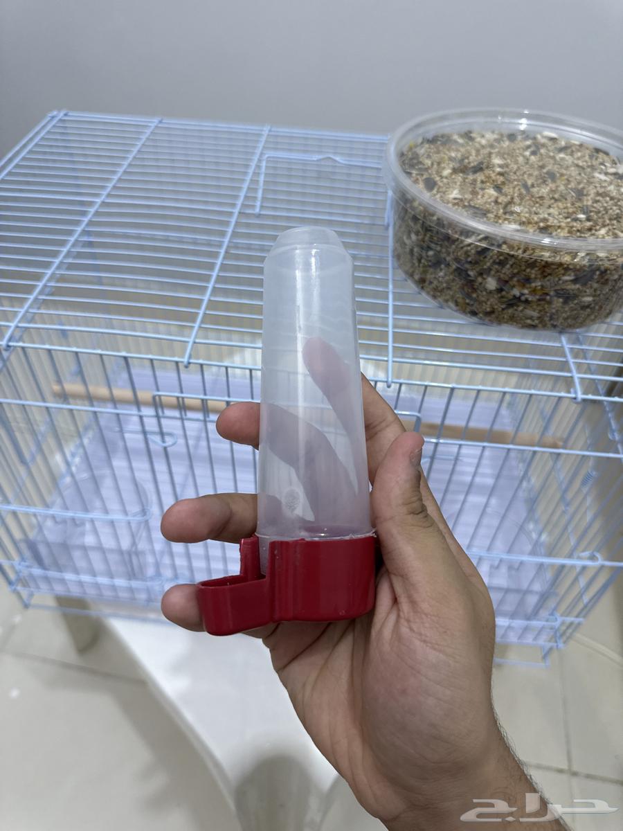 قفص طيور حجم كبير - مناسب للكروان والكنيور64585010372098111