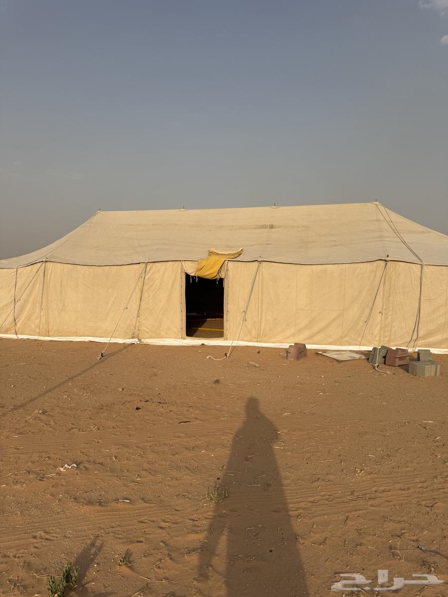 خيمة للبيع64579732209282112