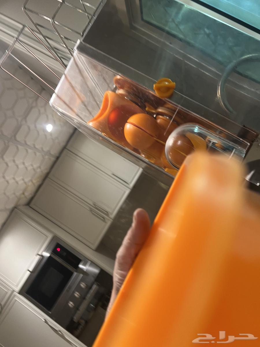 Orange Extract64585782704515114