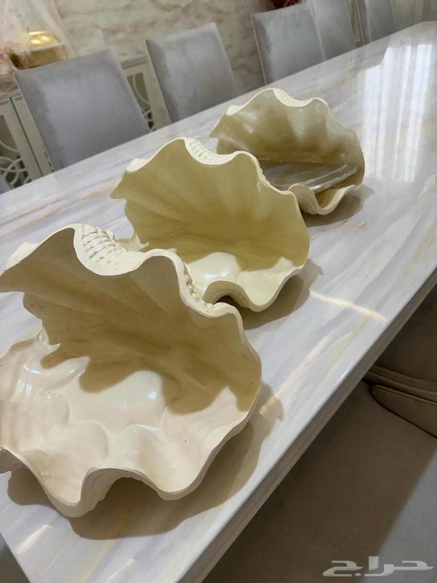 صواني مناسبات صدف64584870029697112