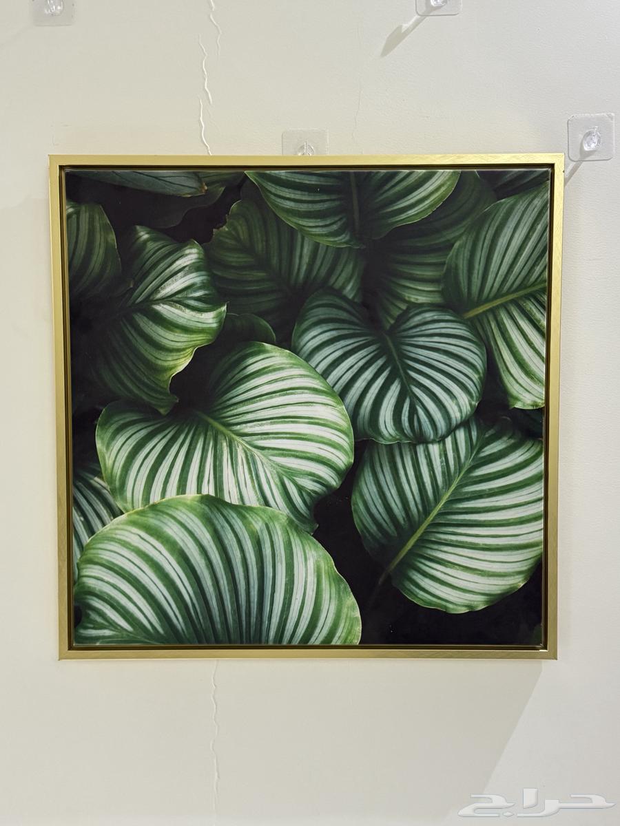 Sofa64587950534275113