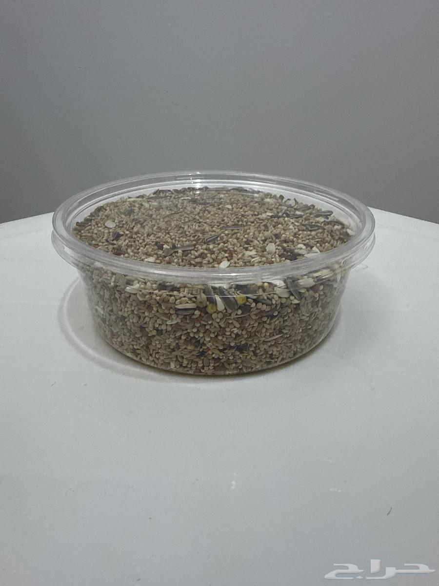 قفص طيور حجم كبير - مناسب للكروان والكنيور64585010372098112