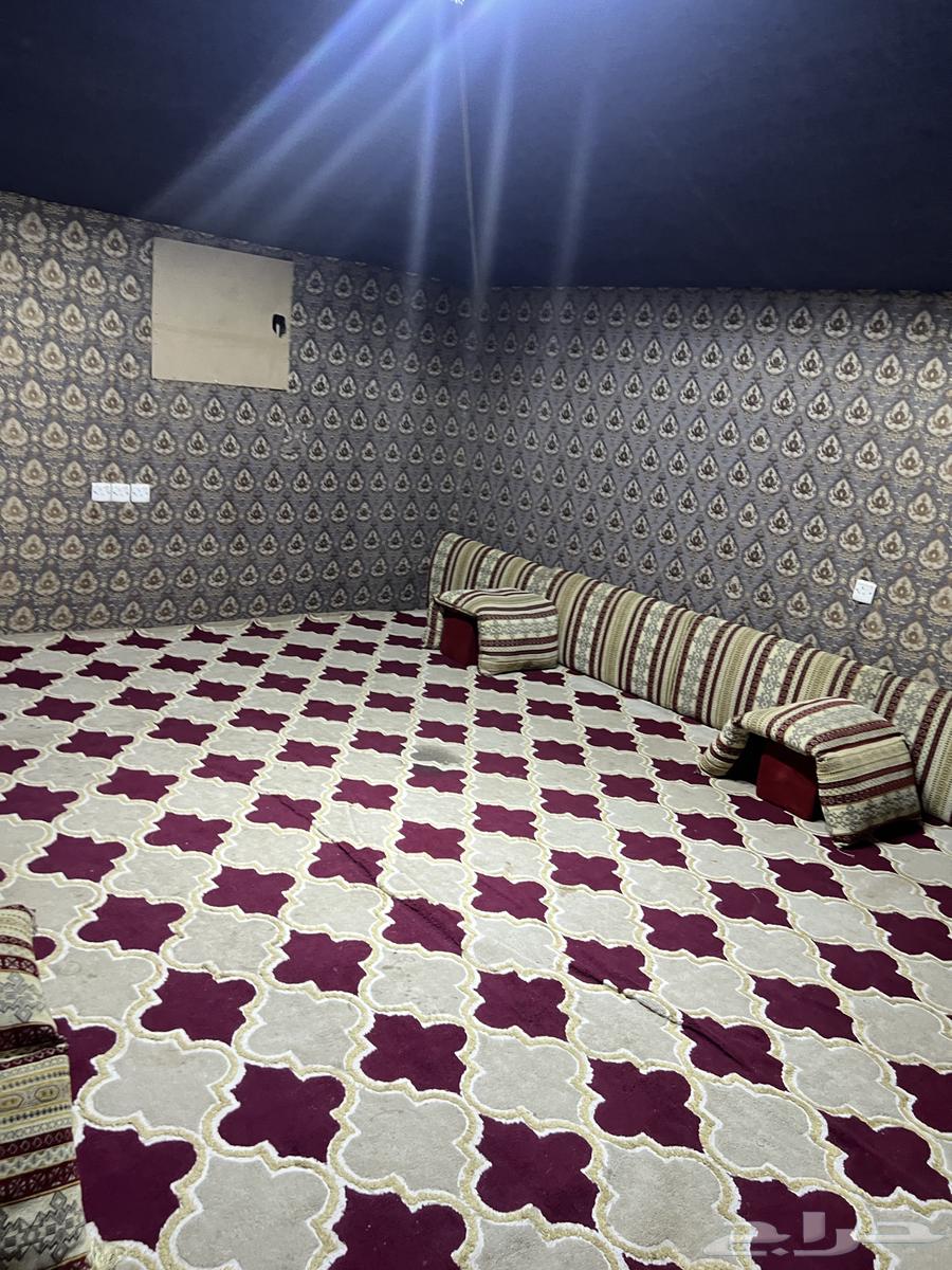 خيمة للبيع على السوم الي جاد يكلمني واتس المساحة 6-664581224231938110