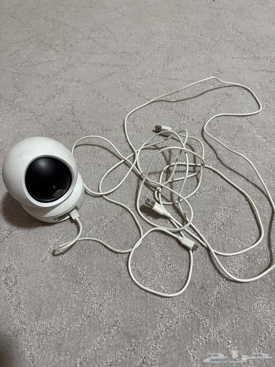 كشافات. علي احجار مضئه ليلاا64586923877890113