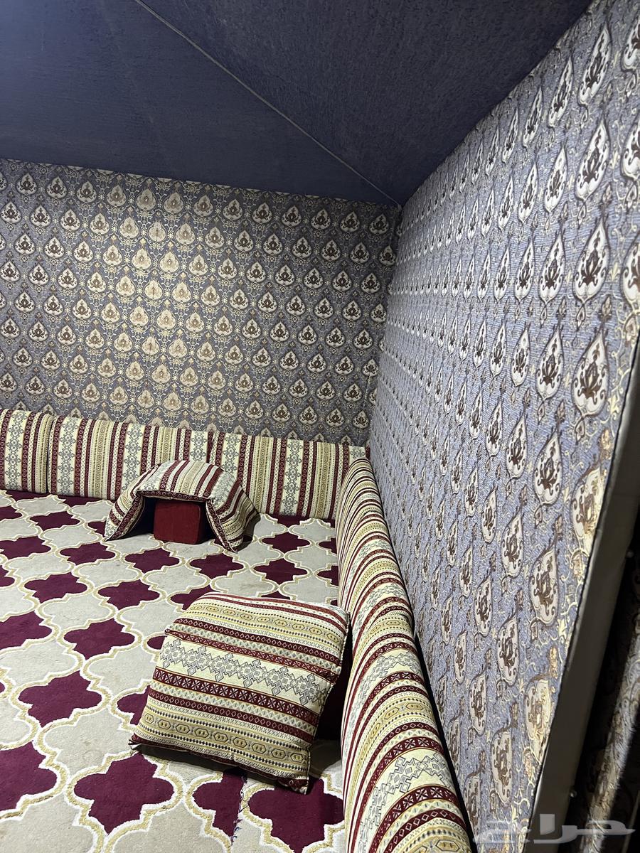 خيمة للبيع على السوم الي جاد يكلمني واتس المساحة 6-664581224231938112