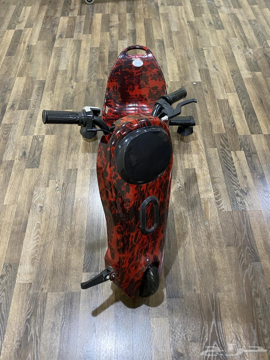 الطائف64584035937154113