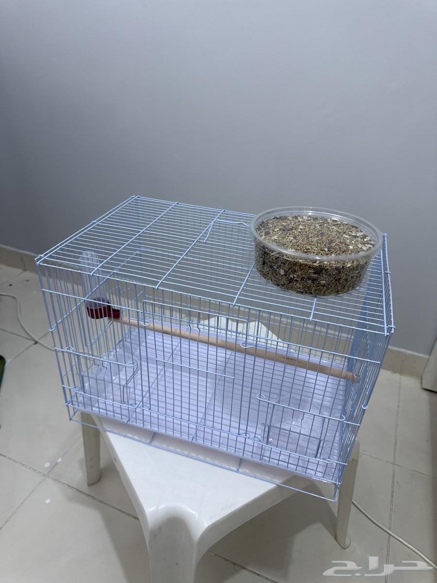 قفص طيور حجم كبير - مناسب للكروان والكنيور64585010372098110