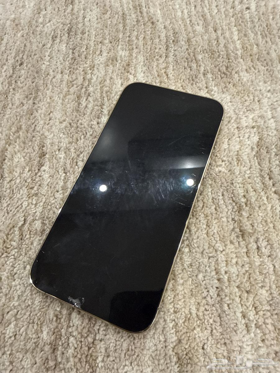 iPhone 12 Pro Max64587901280642111