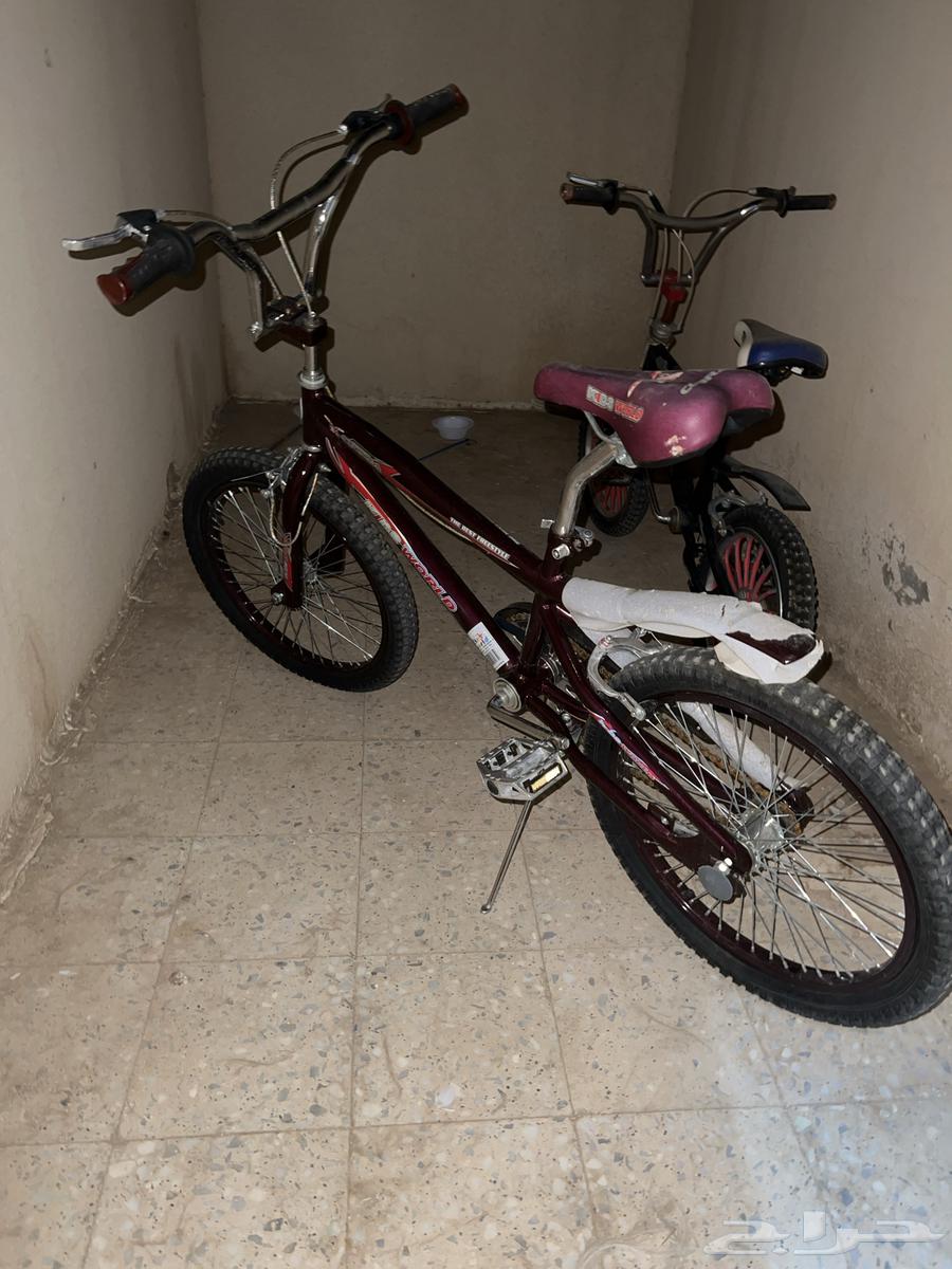 سيكل كوبرا لون عنابي مقاس20جديد استعمال قليل جدا64585967763971111