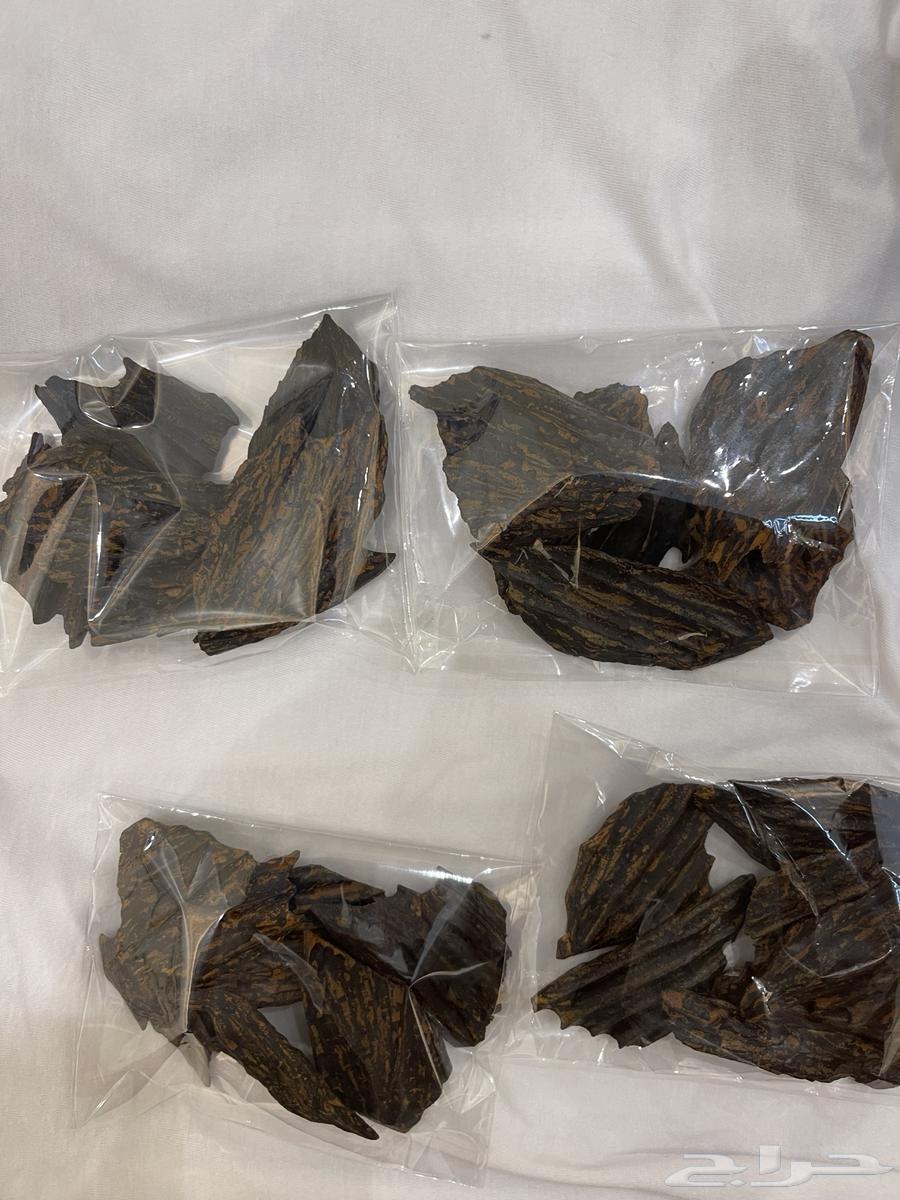 للبيع عود اصلي الازرق كلمنتان64581388582401113