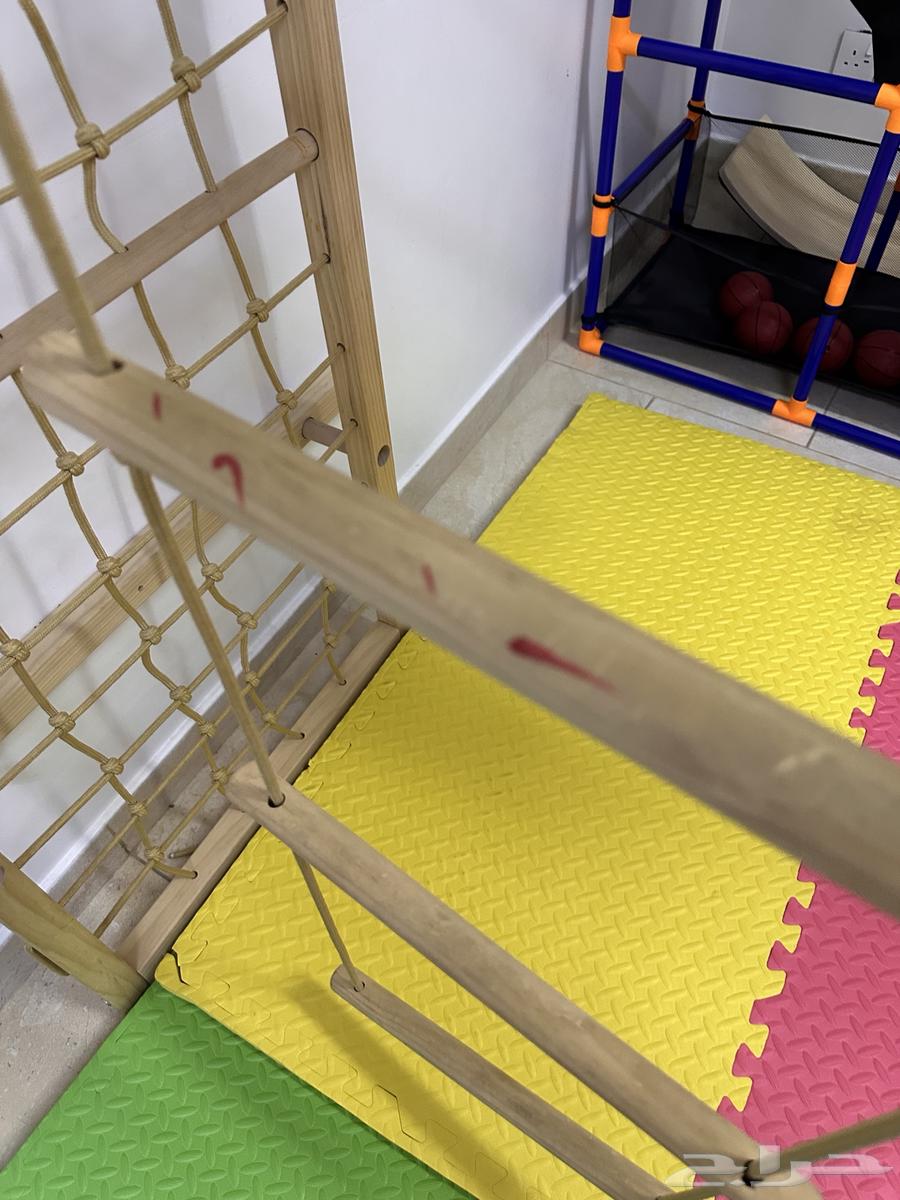 Adventure and Climbing Ladder64583485070339114