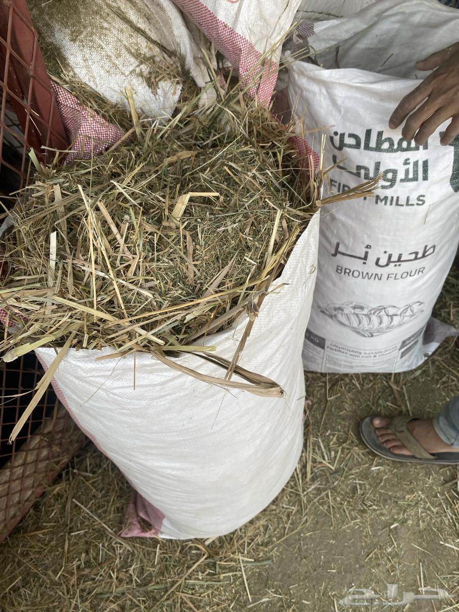 علف من المزرعه64581593886465111