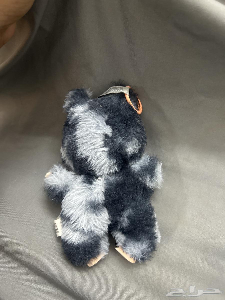 لبوبو سيكرتش نادر وا على السوم64583158038017111