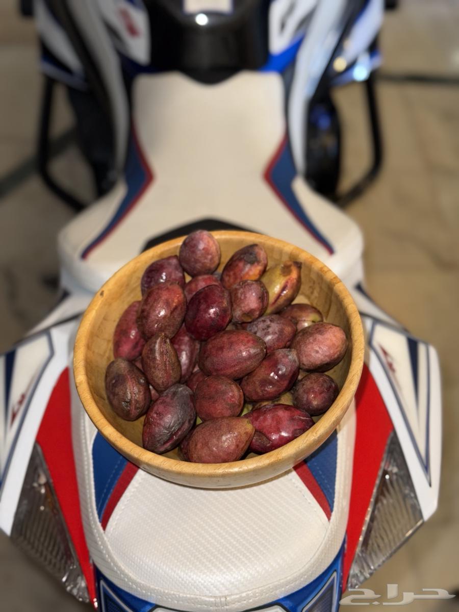 لوز بجري (بجلي) جده64583979584387112