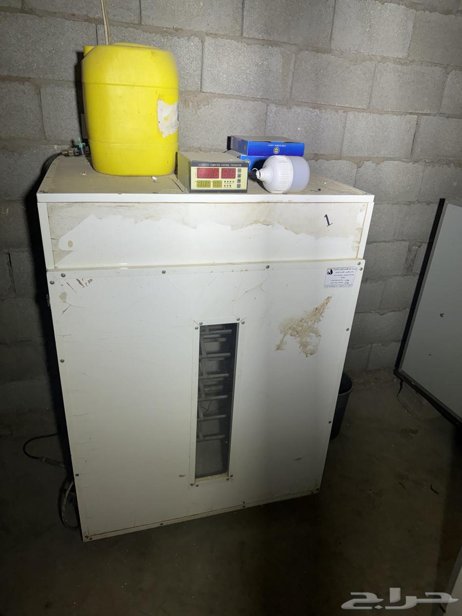 Two electronic incubators and one regular incubator64583179167233111