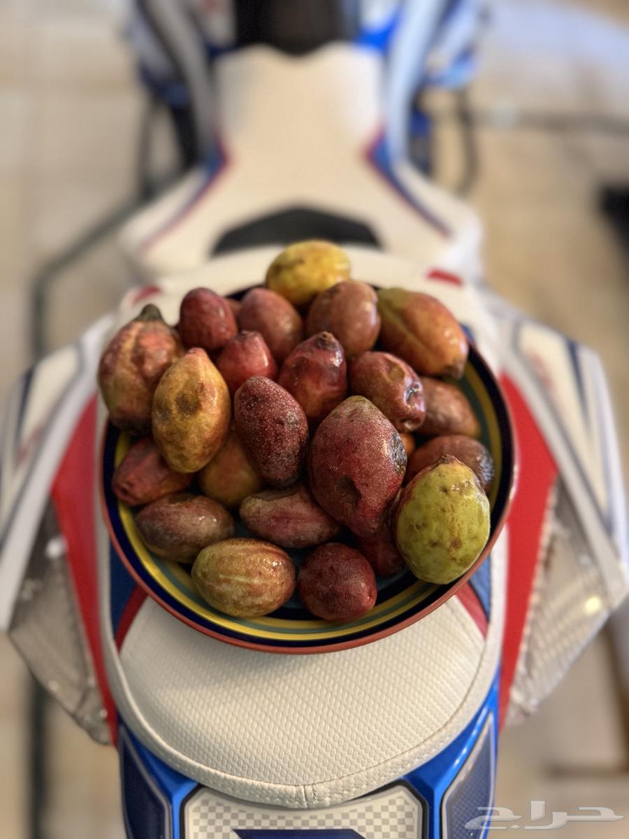 لوز بجري (بجلي) جده64583979584387113