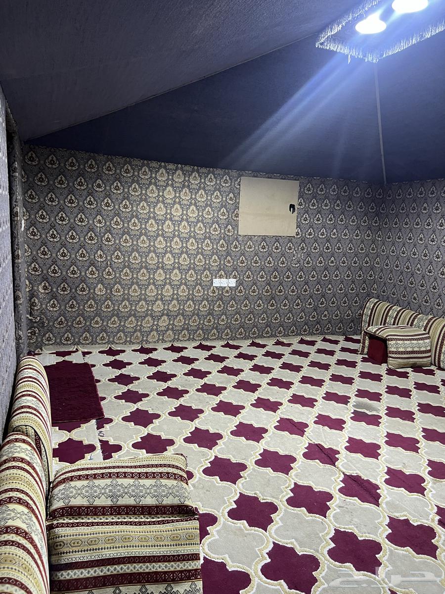 خيمة للبيع على السوم الي جاد يكلمني واتس المساحة 6-664581224231938113