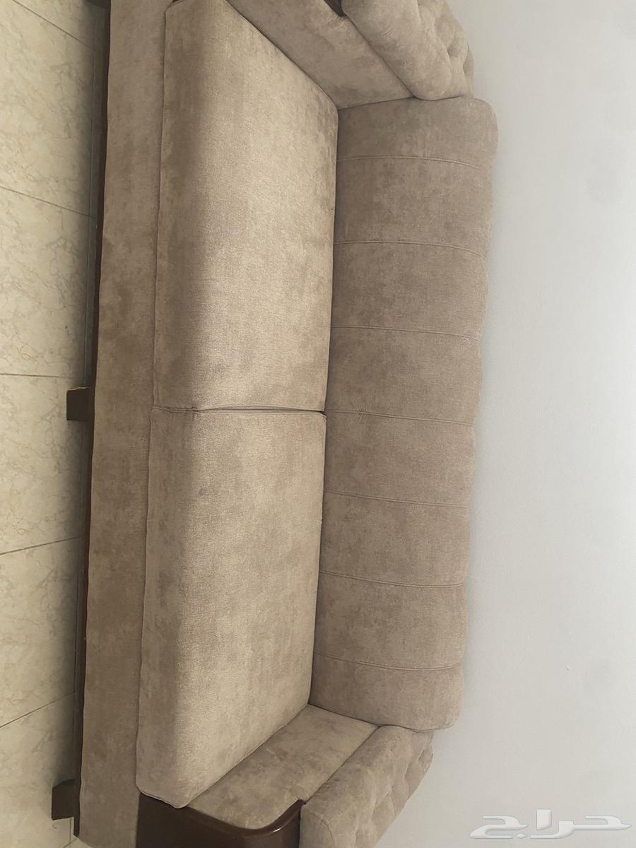 Sofa64583078143235113