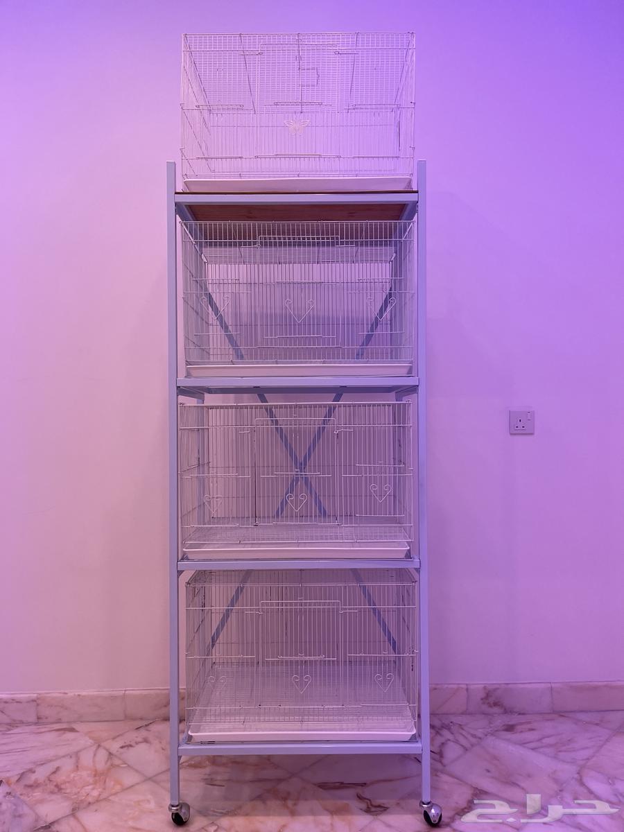 601 Cages with Stand64580006257282110