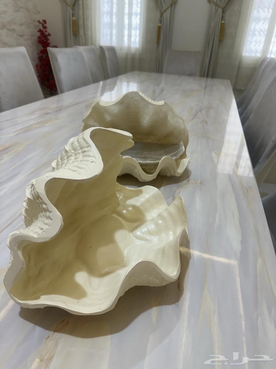 صواني مناسبات صدف64584870029697111