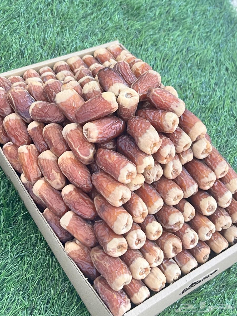 صقعي نوادر64583541449603110