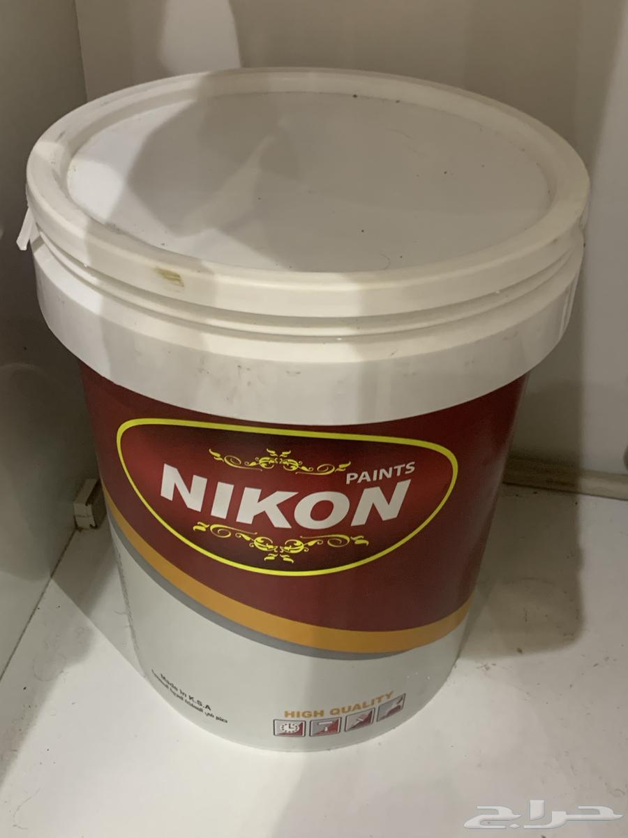 صبق جدار الشراه 100 البيع ب 6064583372302721112