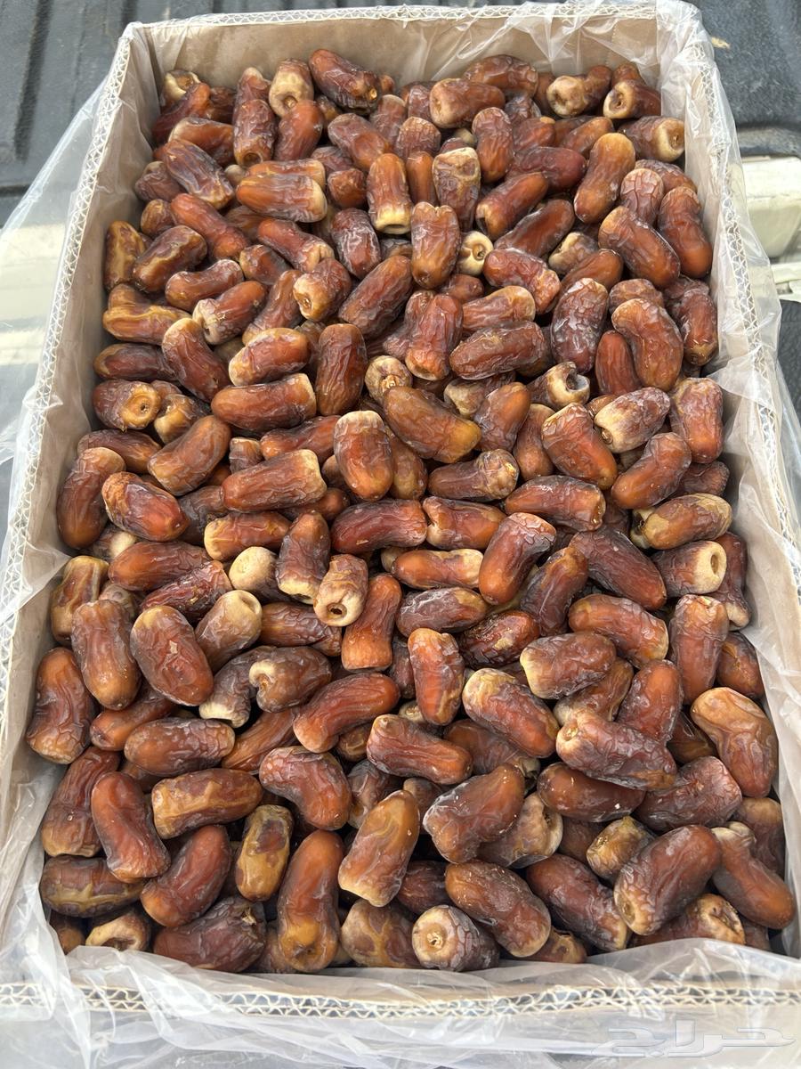 Barni Al-Ayis Dates64586029514755110