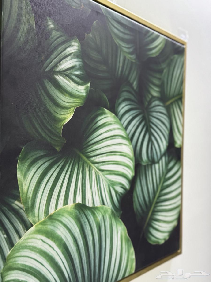 Sofa64587950534275114