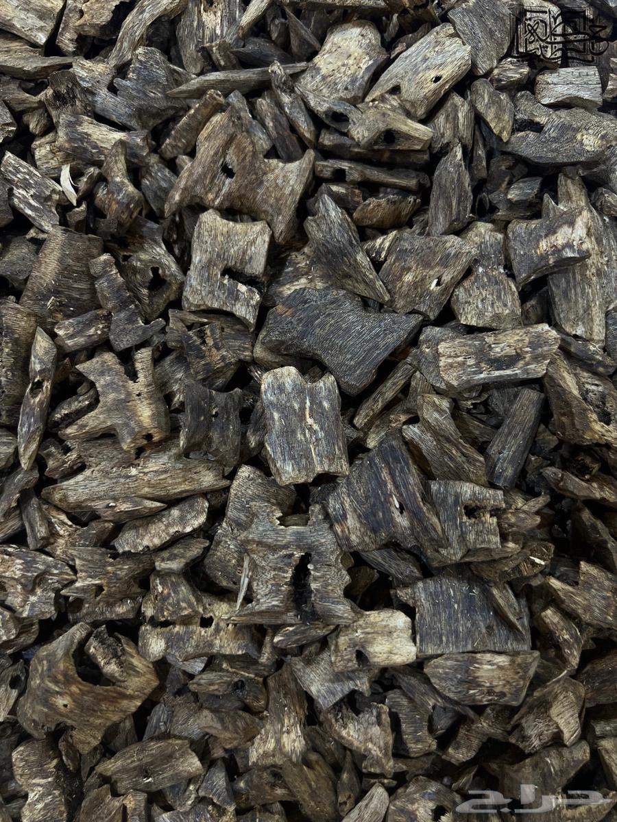 عود صيني كينام سوبر مرتفع طبيعي جمله64584687646209112