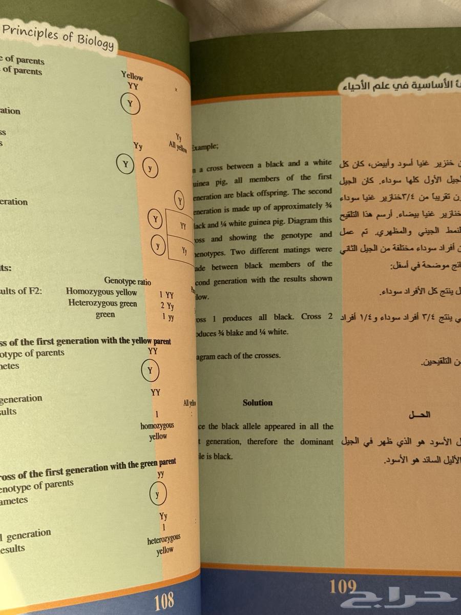 كتاب احياء جديد للبيع64583611762946111