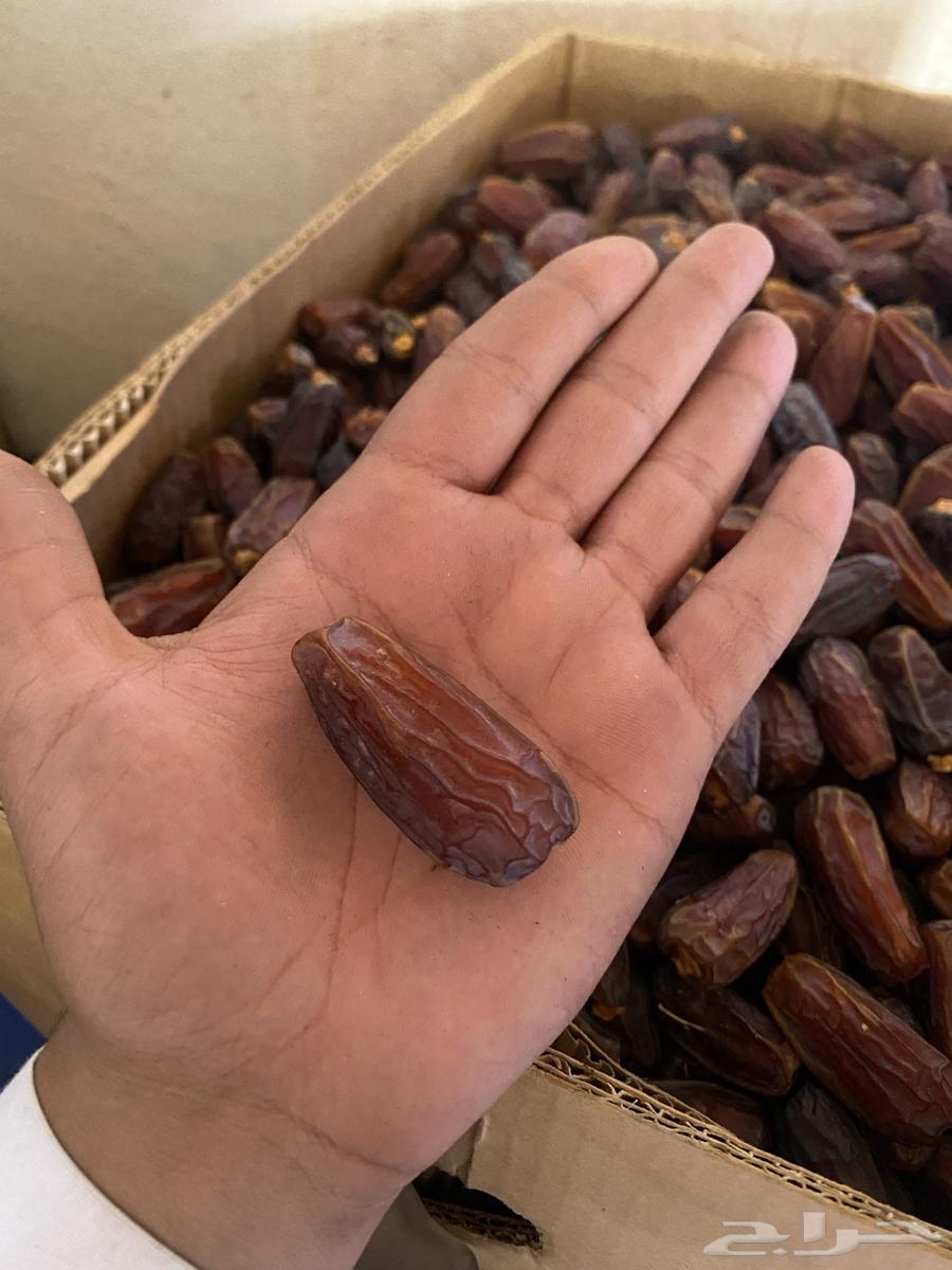 تمور للبيع حق السنة هاذي64582581194882111