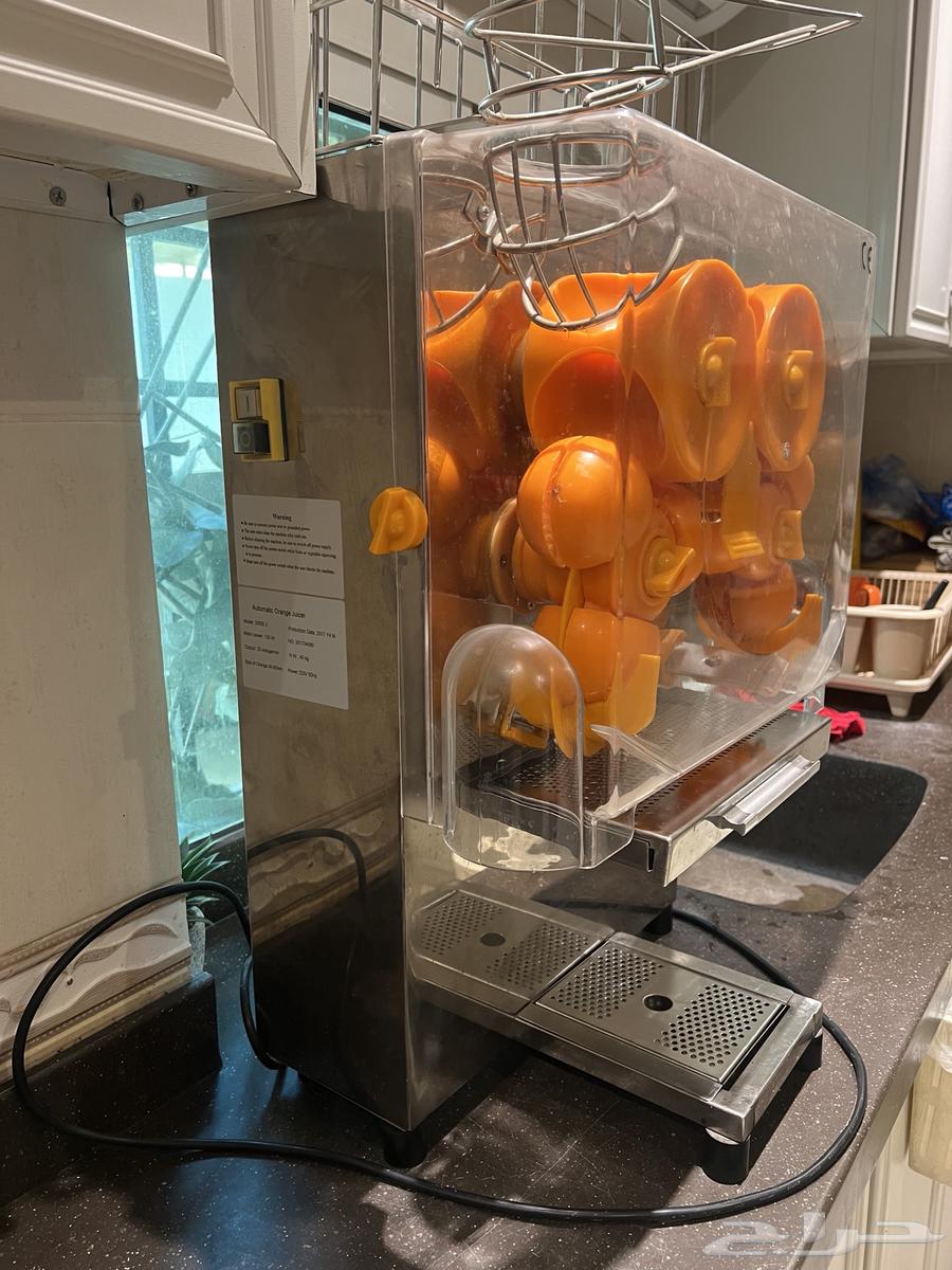 Orange Extract64585782704515112