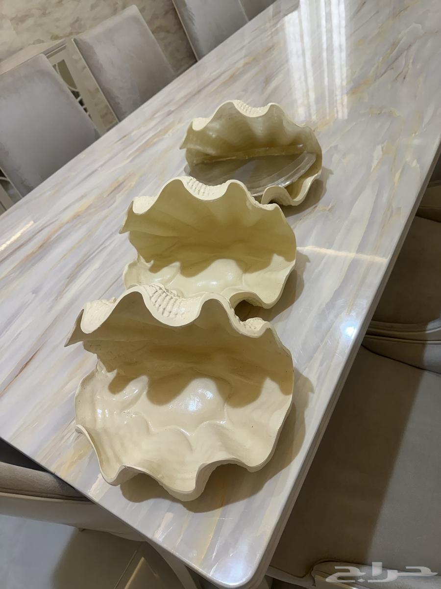 صواني مناسبات صدف64584870029697110