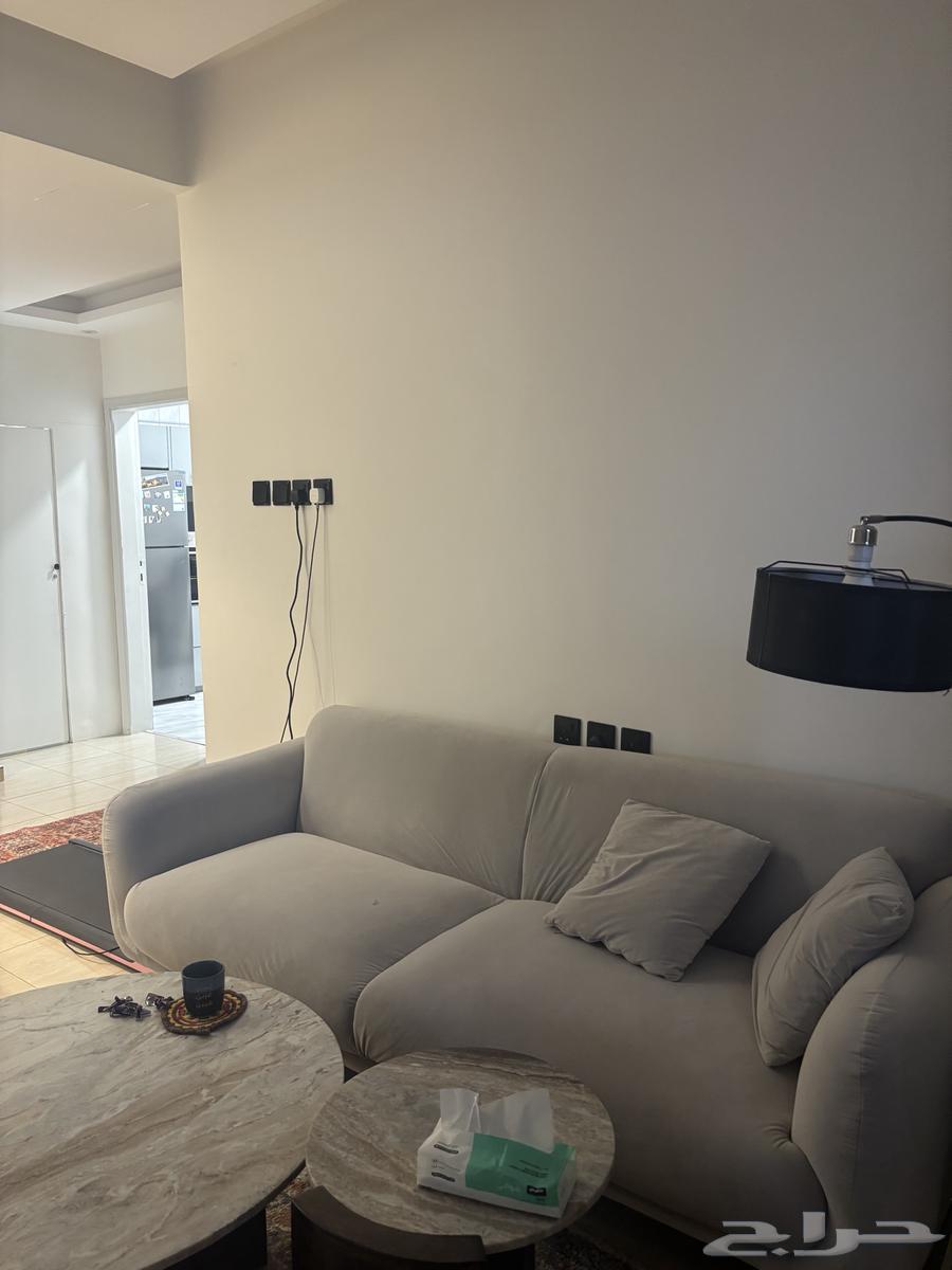 كنب انيق من هوم بوكس64584503827587113