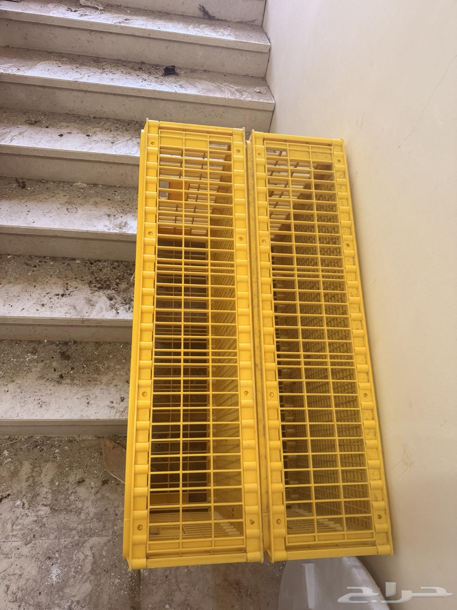 قفص طيور64580977021570110