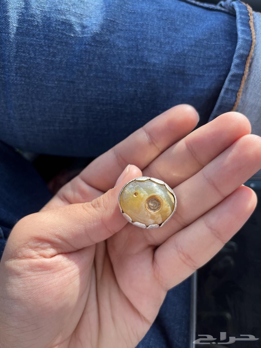 Ring64583541374466110