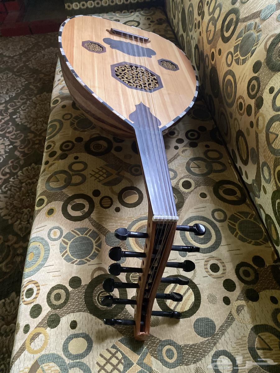 عود للبيع نظيف64582965494658111