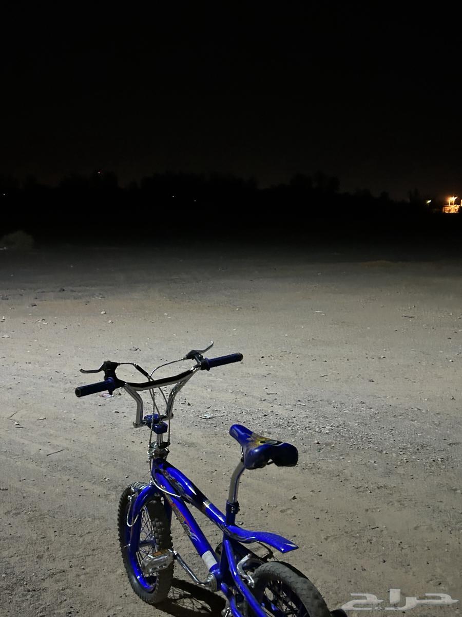 سيكل كوبرا مافيه غير الكفر ابي قدم مايشكي من شي64586899223042110