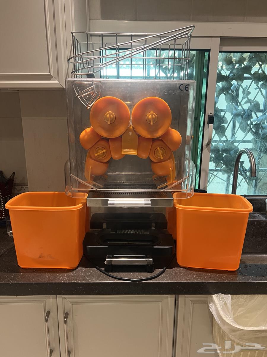 Orange Extract64585782704515113