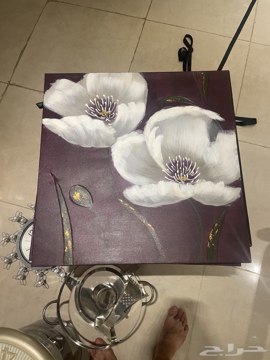 كل اللي موجود عالصوره الحبه ب 2064583682821889111