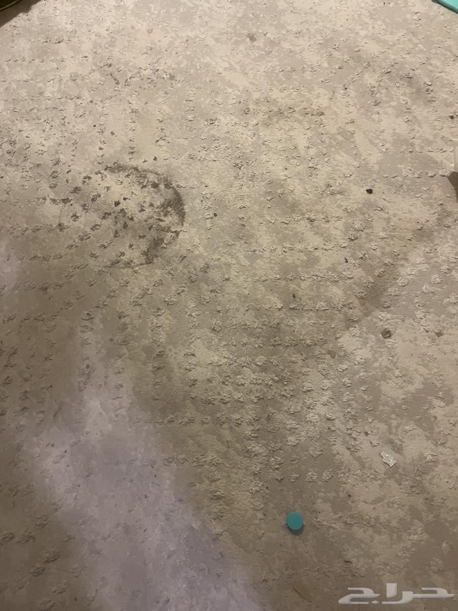 فرشتين الثنتين ب15064580486398339111